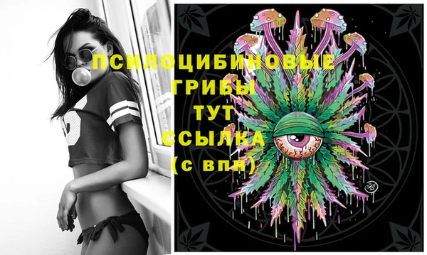 Альфа ПВП Абаза