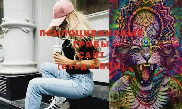 Альфа ПВП Абаза