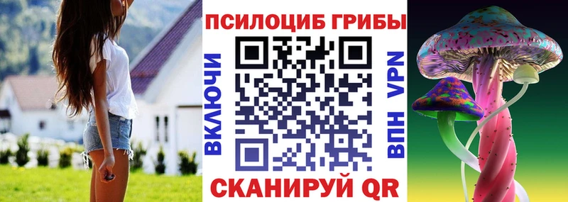 Галлюциногенные грибы GOLDEN TEACHER Прокопьевск