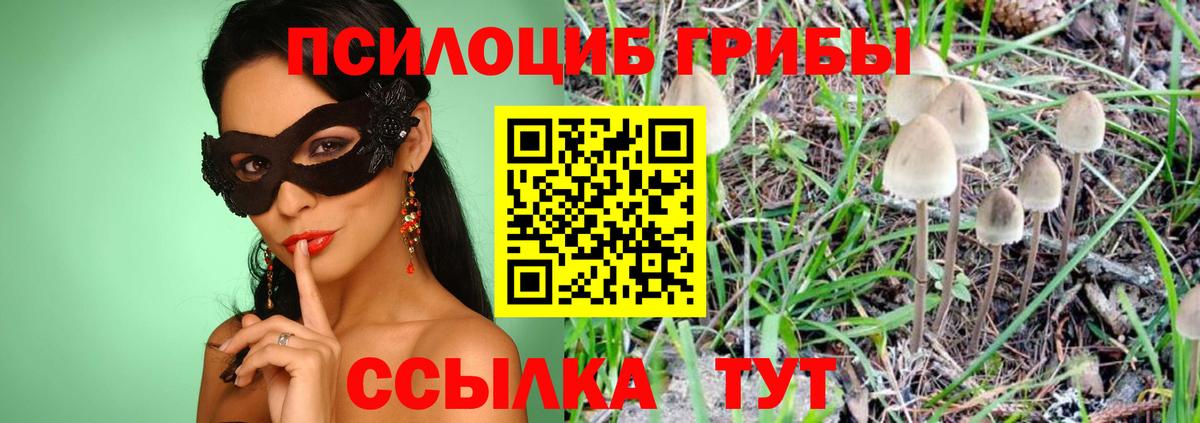 Псилоцибиновые грибы ЛСД Прокопьевск
