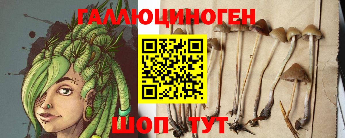 Прокопьевск  Галлюциногенные грибы MAGIC MUSHROOMS  Вход с VPN 